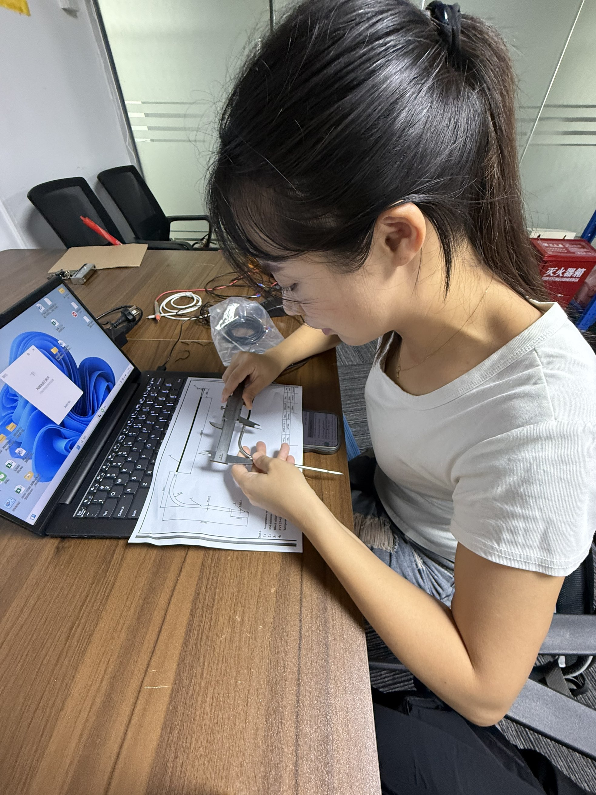 肉用グリル向けカスタムK型熱電対プローブ – Browin Project